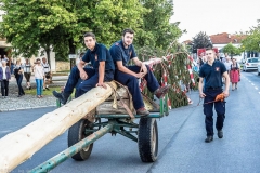 29. Laurenzikirtag-8066301