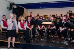 fruehjahrskonzert-2017_blamuka - _DSC1410