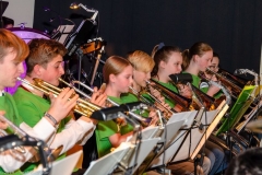 10_BLAMUKA-Frühjahrskonzert-wildcats-14.-April-2019-DSC_0524