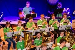 10_BLAMUKA-Frühjahrskonzert-wildcats-14.-April-2019-DSC_0546