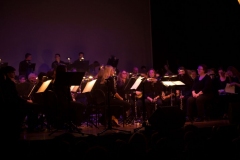 Hakuna-Matata-Stadttheater-0001