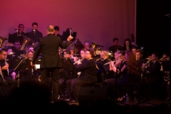 Hakuna-Matata-Stadttheater-0012