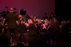 Hakuna-Matata-Stadttheater-0019-1