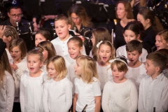 Hakuna-Matata-Stadttheater-0136