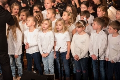 Hakuna-Matata-Stadttheater-0183-1