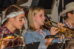 blamuka_herbstkonzert_2015-2970